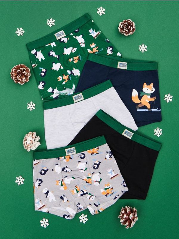 Sinsay Sinsay - Bokserice - 5 pari - više boja