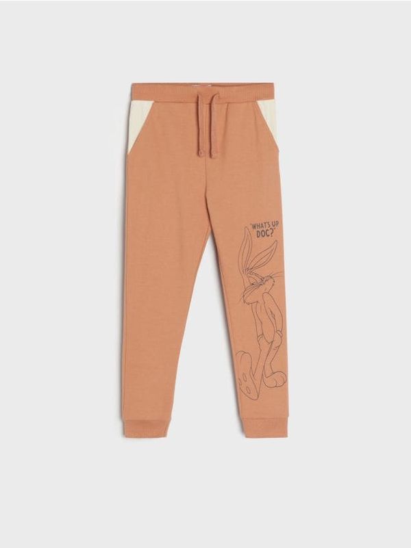 Sinsay Sinsay - Donji dio trenerke Looney Tunes - narandžasta