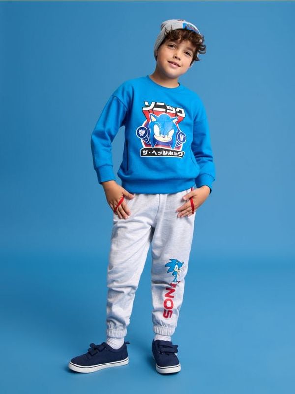 Sinsay Sinsay - Donji dio trenerke Sonic - siva