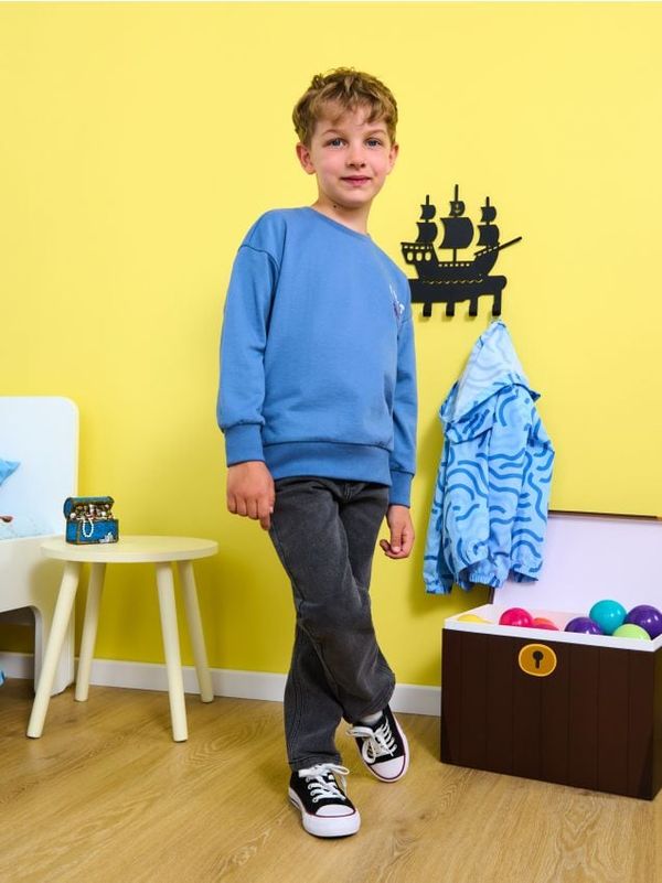 Sinsay Sinsay - Farmerke Straight fit - sivo