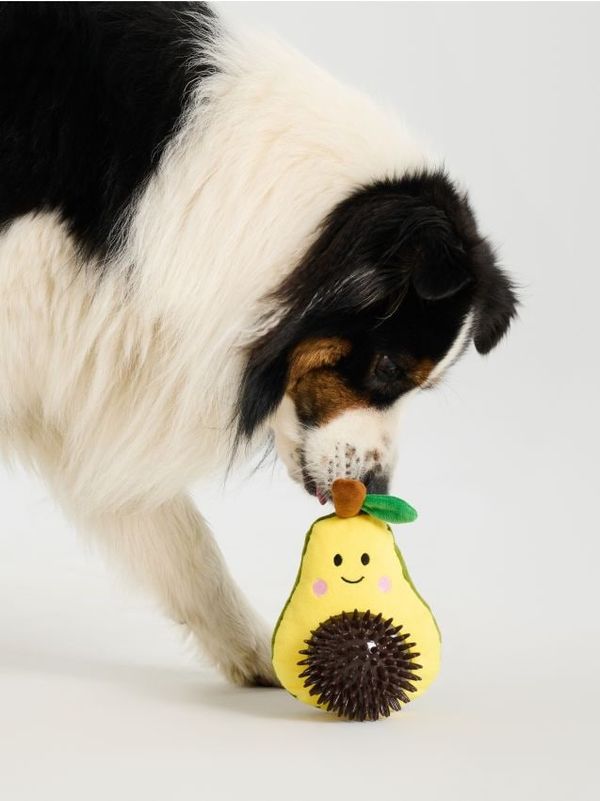 Sinsay Sinsay - Igračka za psa - više boja