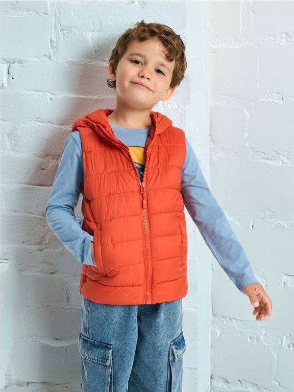 Sinsay Sinsay - Jakna - narandžasta