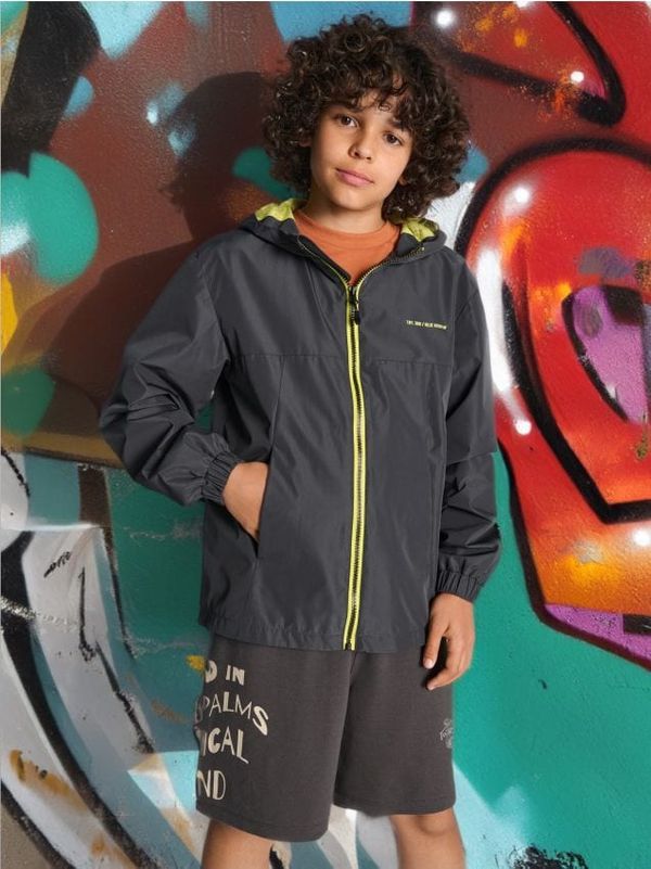 Sinsay Sinsay - Jakna za prelazno vrijeme - siva