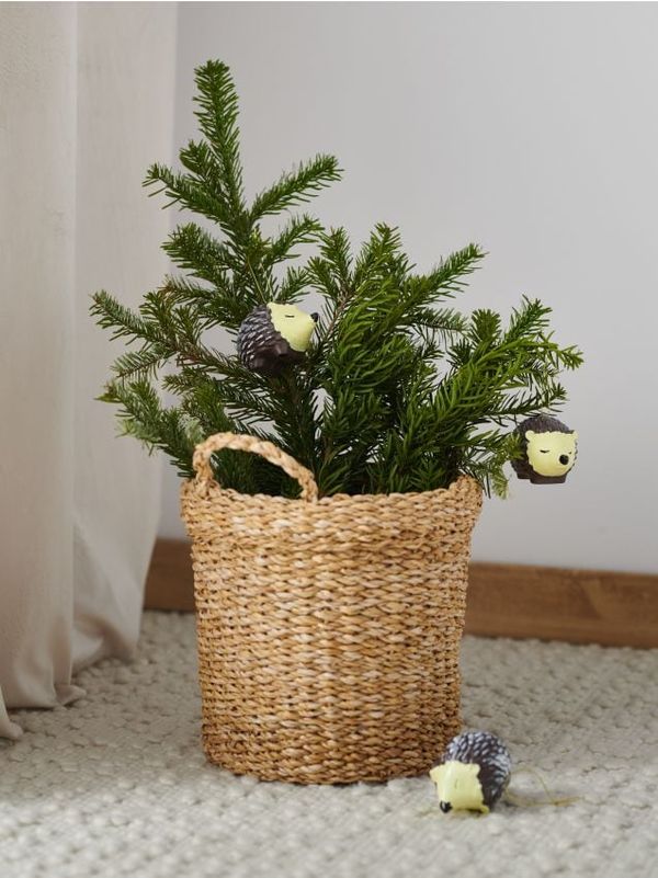 Sinsay Sinsay - Kuglice 3 pakovanje - smeđe