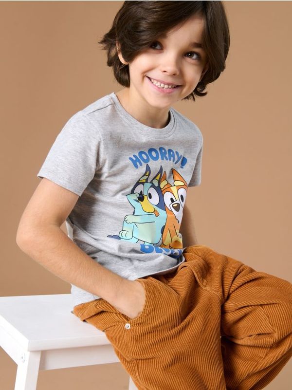 Sinsay Sinsay - Majica kratkih rukava Bluey - siva