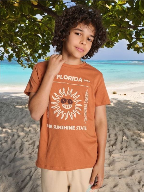 Sinsay Sinsay - Majica kratkih rukava s printom - smeđa