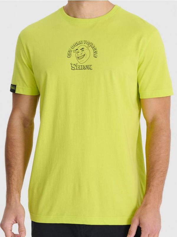 Sinsay Sinsay - Majica kratkih rukava Shrek - zelena