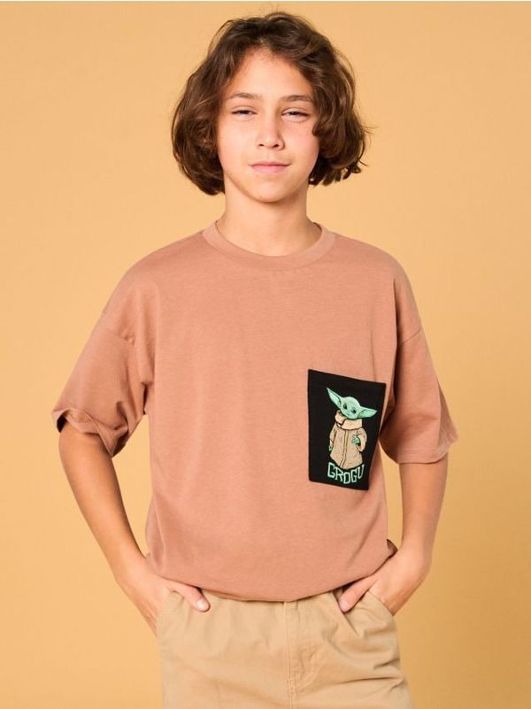 Sinsay Sinsay - Majica Star Wars - smeđa