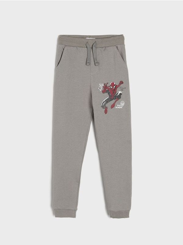 Sinsay Sinsay - Sportske jogger hlače Spider-Man - sivo