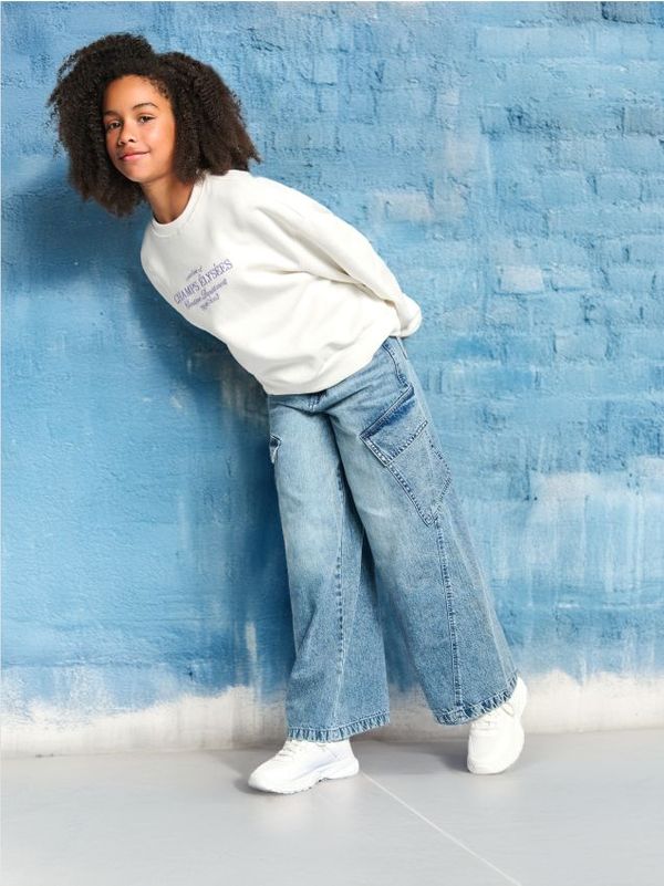 Sinsay Sinsay - Wide leg farmerke - drugo